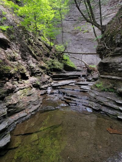Conklin's Gully - Naples, NY