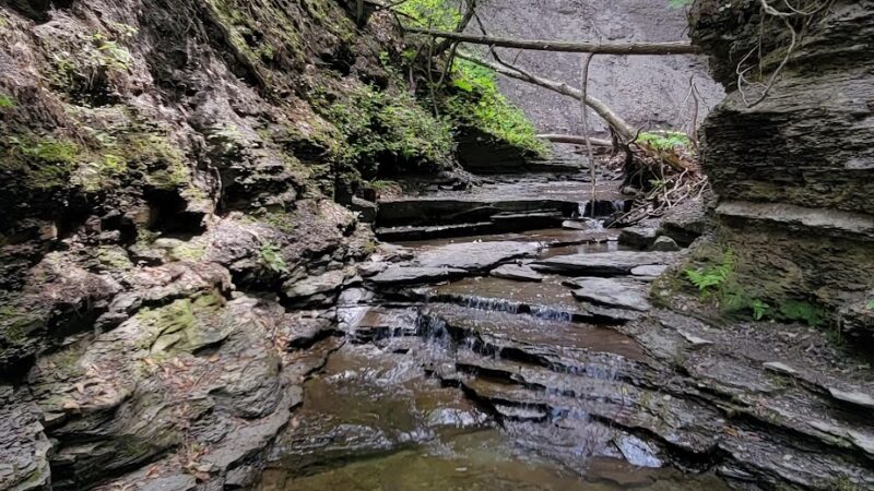 Conklin's Gully - Naples, NY