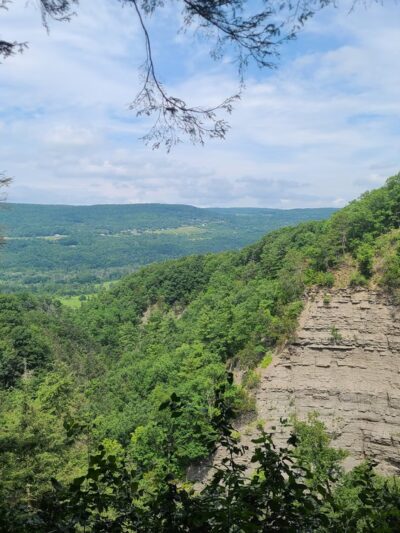 Conklin's Gully - Naples, NY