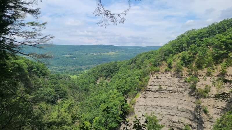 Conklin's Gully - Naples, NY