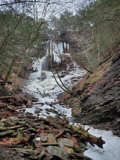 Conklin's Gully - Naples, NY