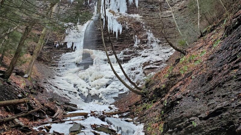 Conklin's Gully - Naples, NY