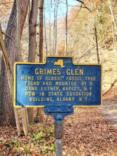 Grimes Glen Park - Naples, NY