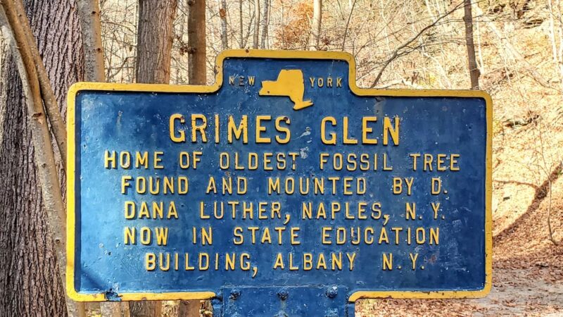 Grimes Glen Park - Naples, NY