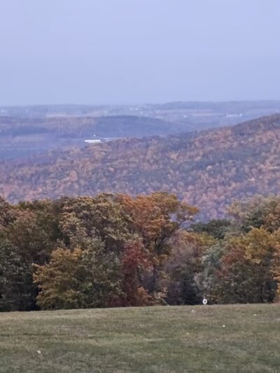 Ontario County Park - Naples, NY