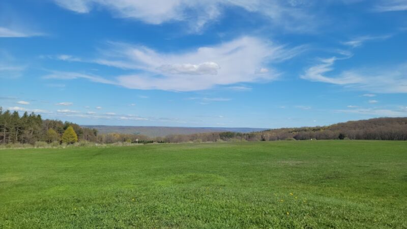 Ontario County Park - Naples, NY
