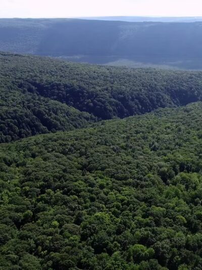 Wesley Hill Nature Preserve - Naples, NY