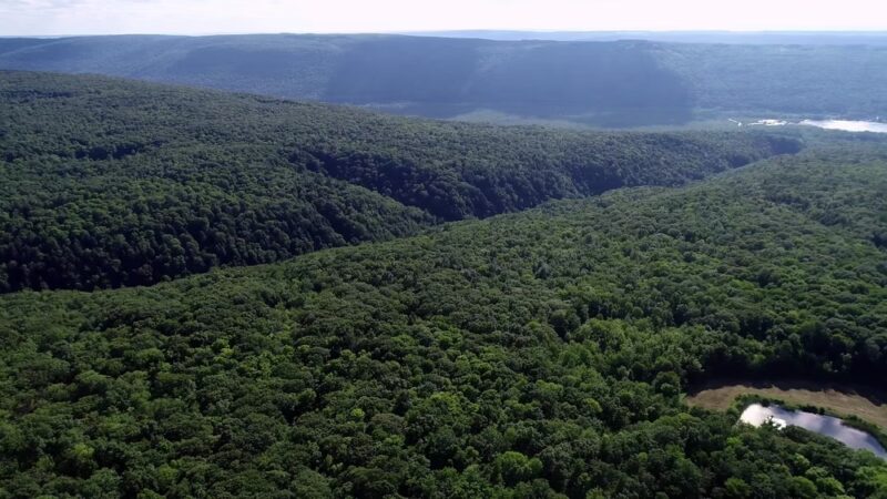 Wesley Hill Nature Preserve - Naples, NY