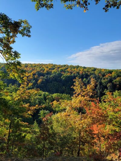 Wesley Hill Nature Preserve - Naples, NY