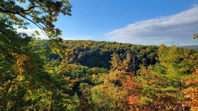 Wesley Hill Nature Preserve - Naples, NY