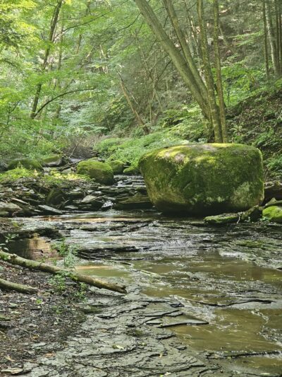 Wesley Hill Nature Preserve - Naples, NY