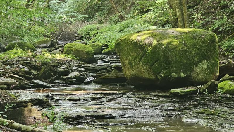 Wesley Hill Nature Preserve - Naples, NY