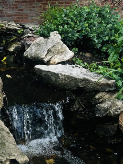 Jim The Wonder Dog Park - Napton, MO