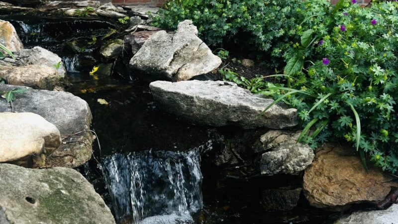 Jim The Wonder Dog Park - Napton, MO