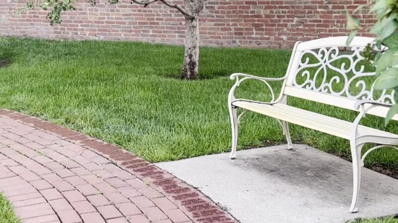 Jim The Wonder Dog Park - Napton, MO