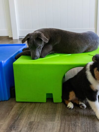 Hounds Town - Philadelphia - Narberth - Narberth, PA