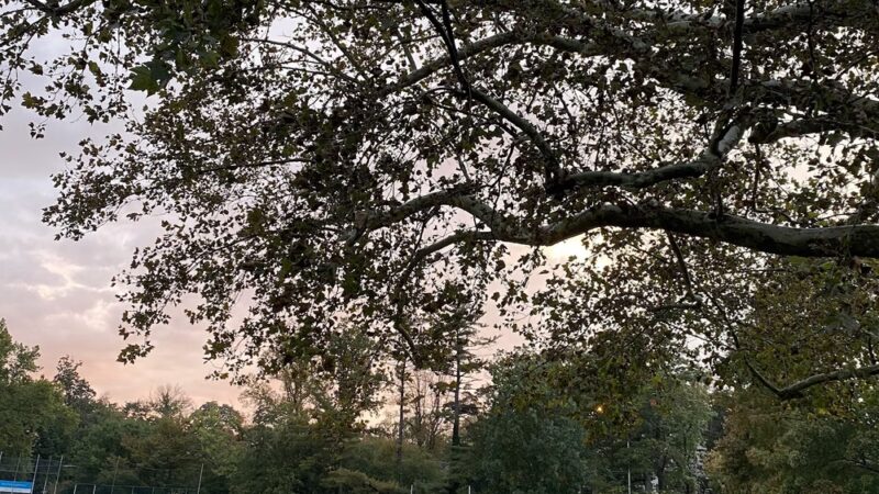 Narberth Park - Narberth, PA