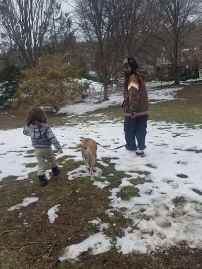 Paws and Affection - Narberth, PA