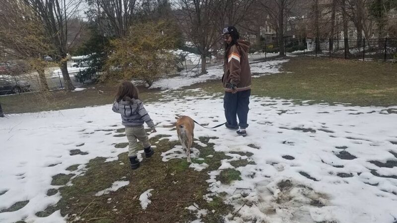 Paws and Affection - Narberth, PA