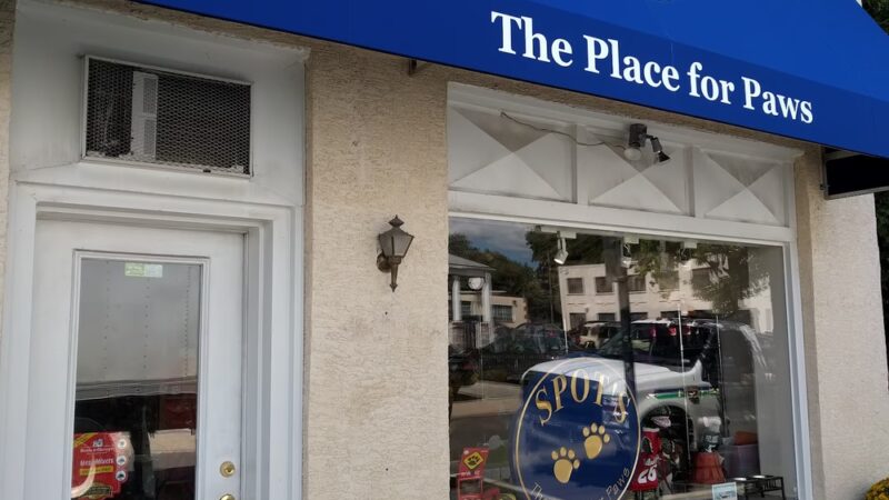 Spot's the Place For Paws - Narberth, PA