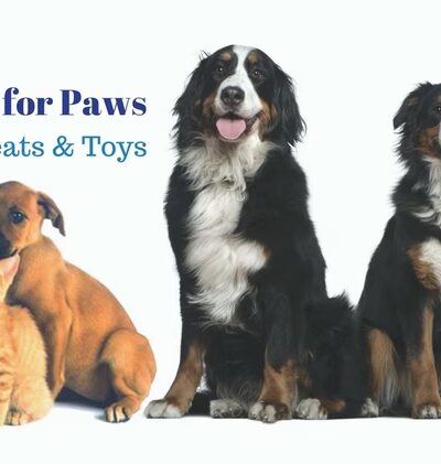 Spot's the Place For Paws - Narberth, PA