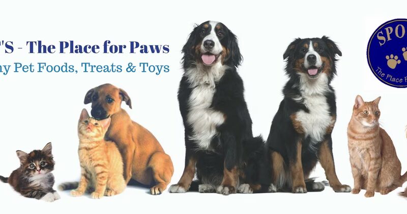 Spot's the Place For Paws - Narberth, PA