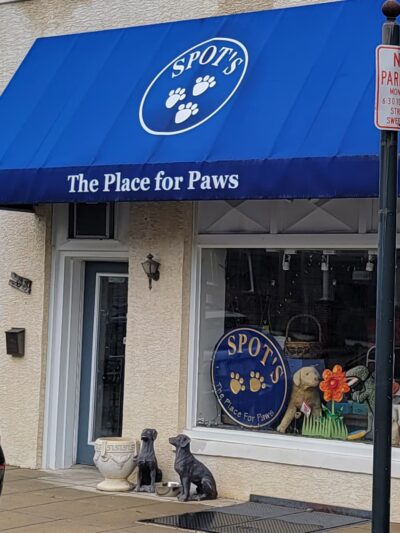 Spot's the Place For Paws - Narberth, PA