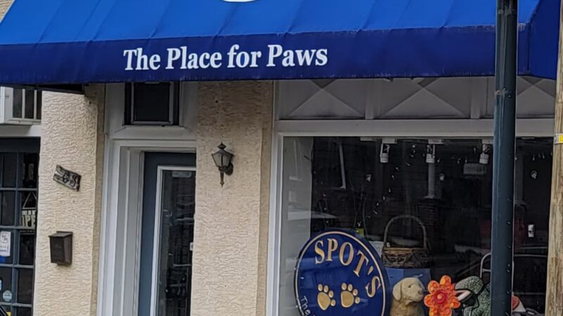 Spot's the Place For Paws - Narberth, PA