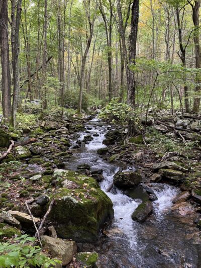 Mill Creek Nature Park Trails - Narrows, VA