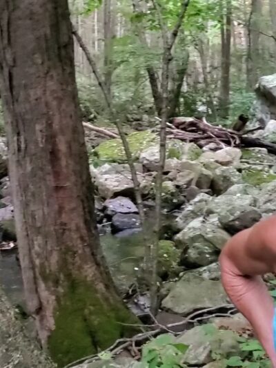 Mill Creek Nature Park Trails - Narrows, VA