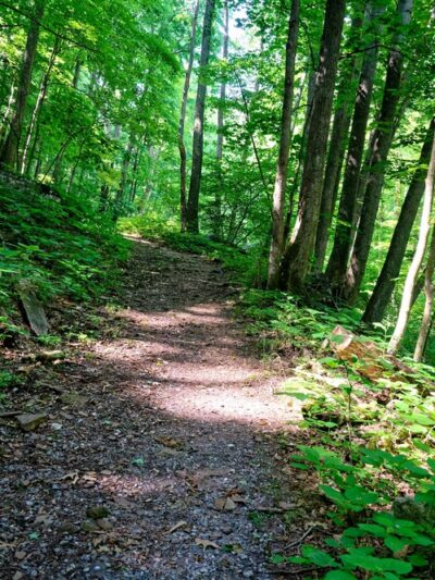 Mill Creek Nature Park Trails - Narrows, VA