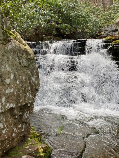 Mill Creek Nature Park Trails - Narrows, VA