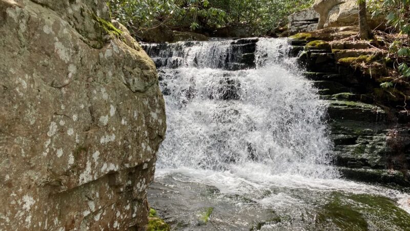 Mill Creek Nature Park Trails - Narrows, VA