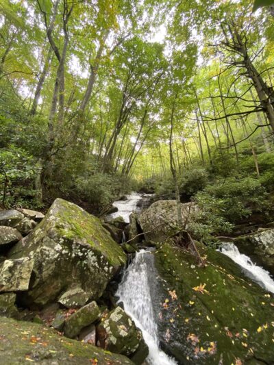 Mill Creek Nature Park Trails - Narrows, VA