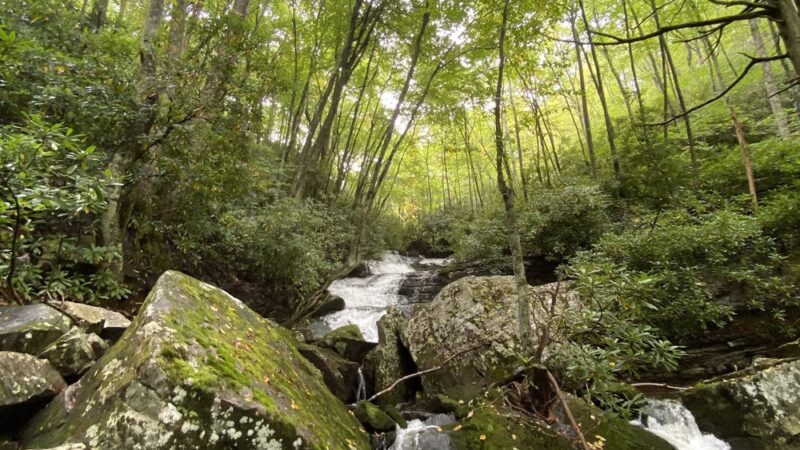 Mill Creek Nature Park Trails - Narrows, VA