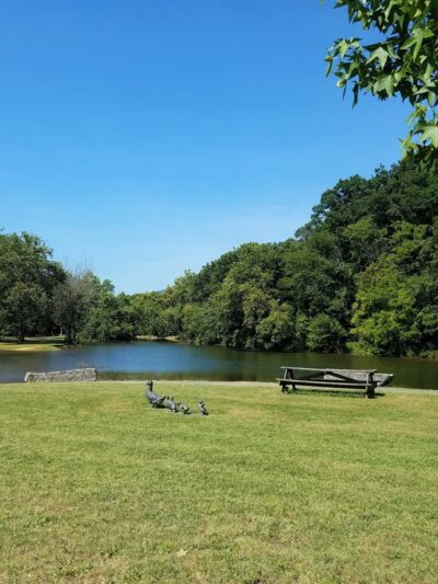 Narrows Duck Pond and Mill Dam - Narrows, VA