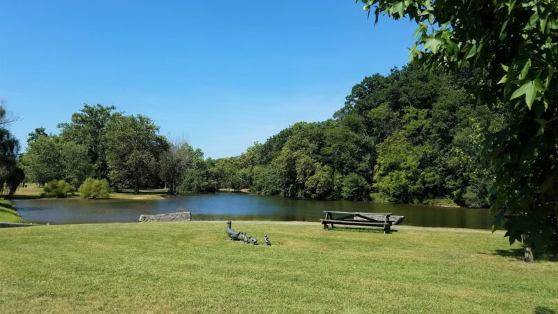 Narrows Duck Pond and Mill Dam - Narrows, VA