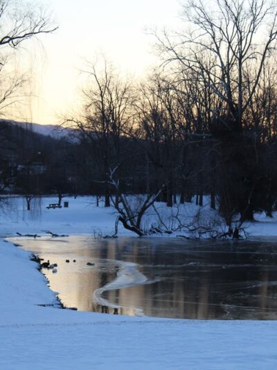 Narrows Duck Pond and Mill Dam - Narrows, VA