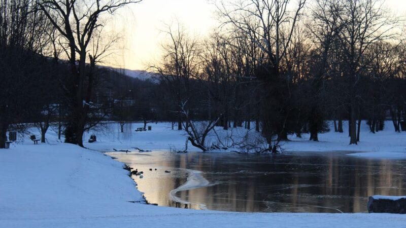 Narrows Duck Pond and Mill Dam - Narrows, VA