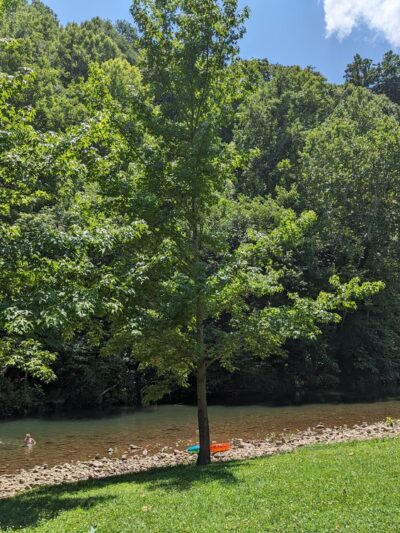 Narrows Town Park - Narrows, VA