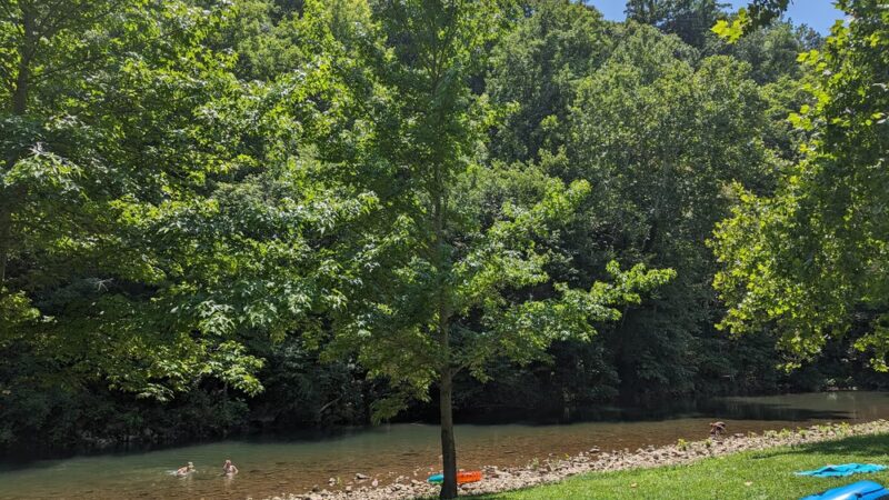 Narrows Town Park - Narrows, VA