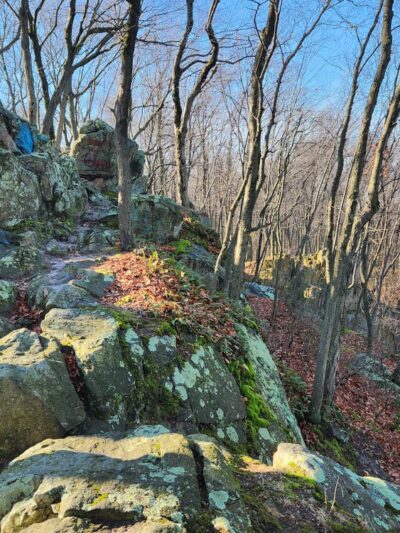 Money Rocks County Park - Narvon, PA