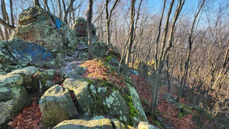 Money Rocks County Park - Narvon, PA