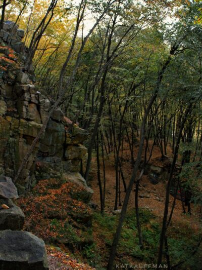 Money Rocks County Park - Narvon, PA
