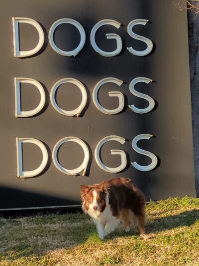 BarkPark - Nashville, TN