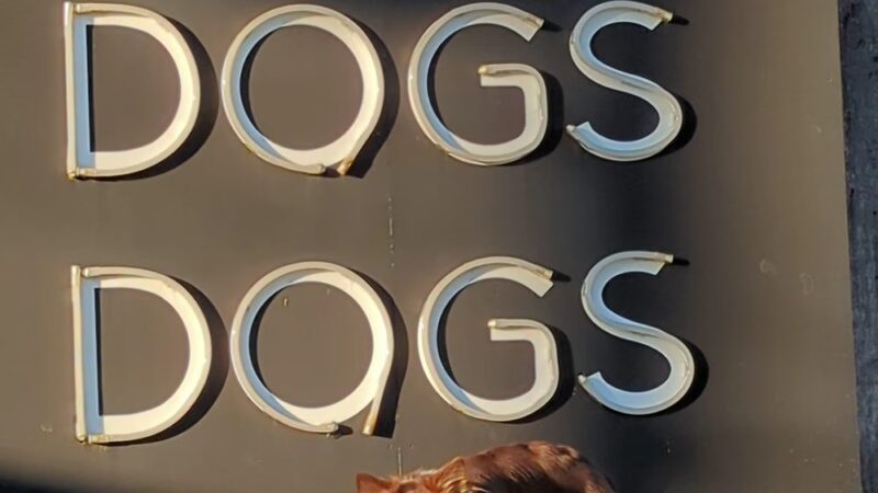 BarkPark - Nashville, TN