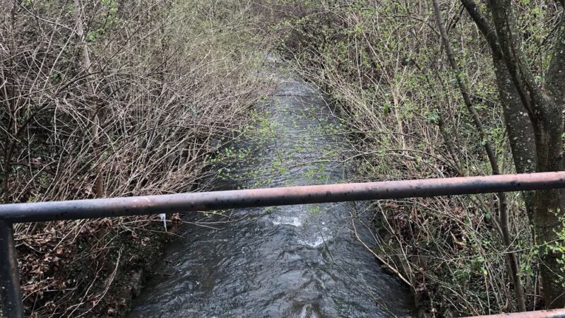 Brown's Creek Park - Nashville, TN