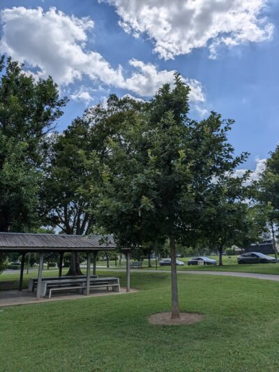 Cleveland Park - Nashville, TN