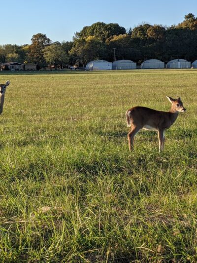 Cornelia Fort Airpark at Shelby Bottoms - Nashville, TN