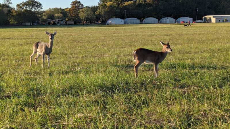 Cornelia Fort Airpark at Shelby Bottoms - Nashville, TN